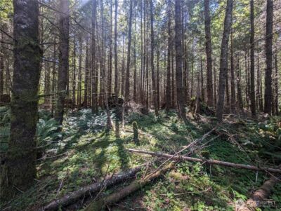 999 Hwy 101 Highway , Beaver, WA 98363 - Photo 21