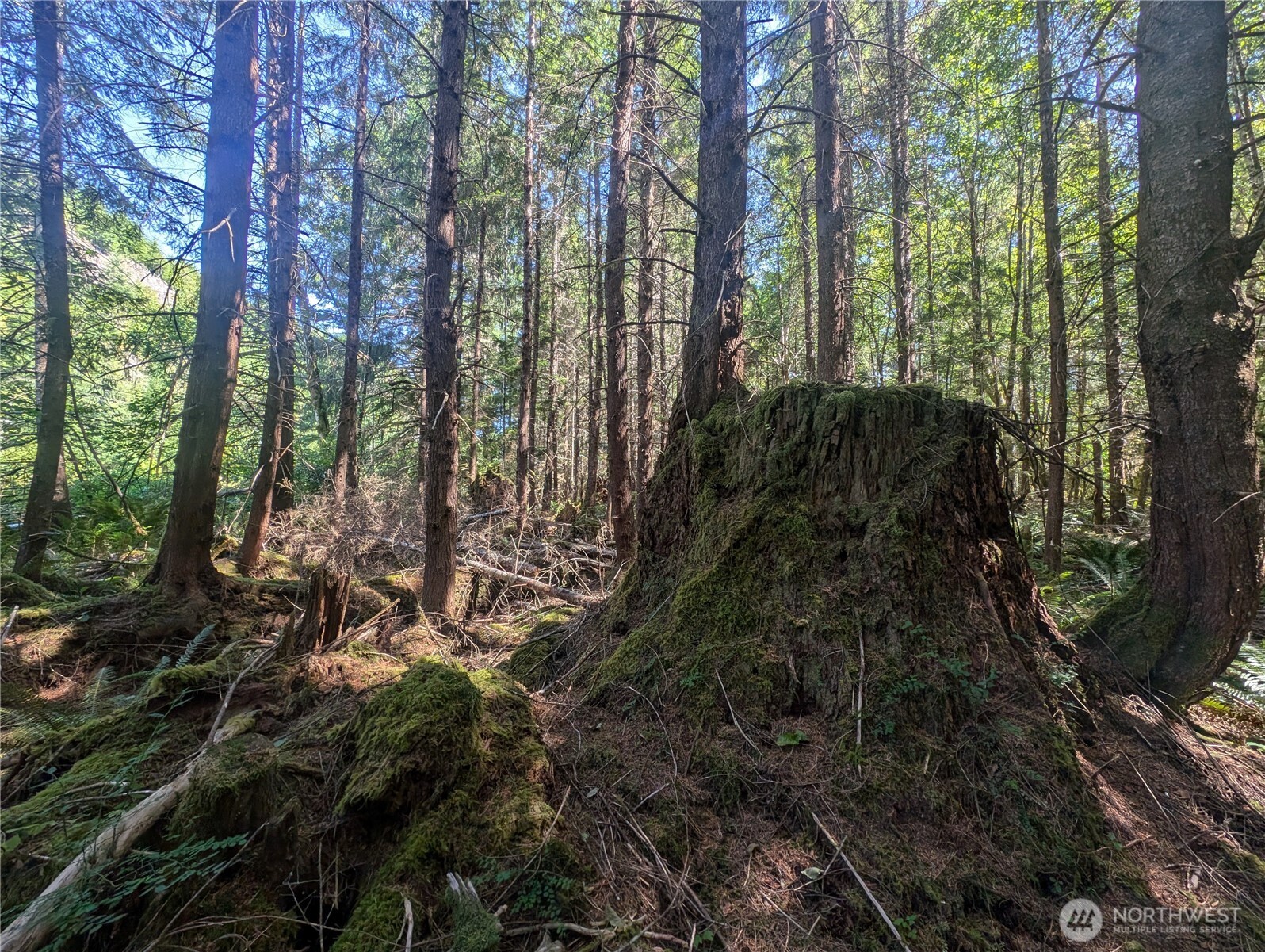 999 Hwy 101 Highway , Beaver, WA 98363