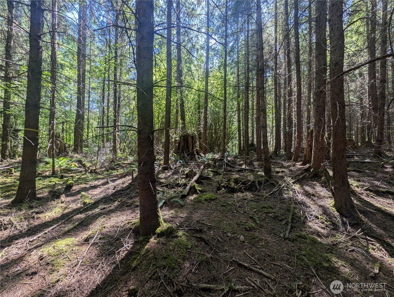 999 Hwy 101 Highway , Beaver, WA 98363