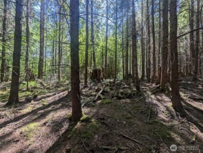 999 Hwy 101 Highway , Beaver, WA 98363 - Photo 24