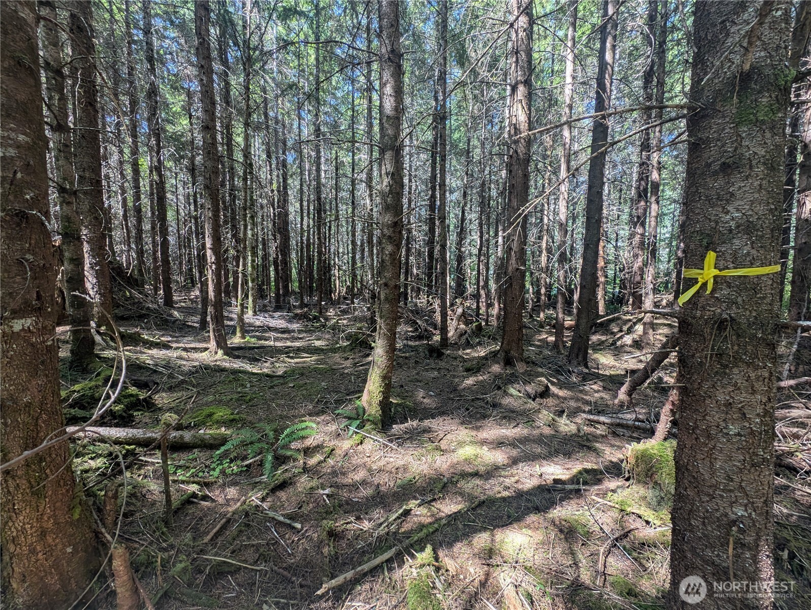 999 Hwy 101 Highway , Beaver, WA 98363