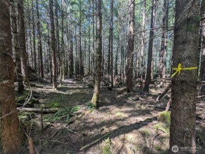 999 Hwy 101 Highway , Beaver, WA 98363 - Photo 25
