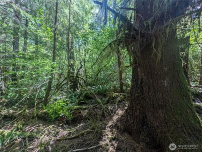 999 Hwy 101 Highway , Beaver, WA 98363 - Photo 26