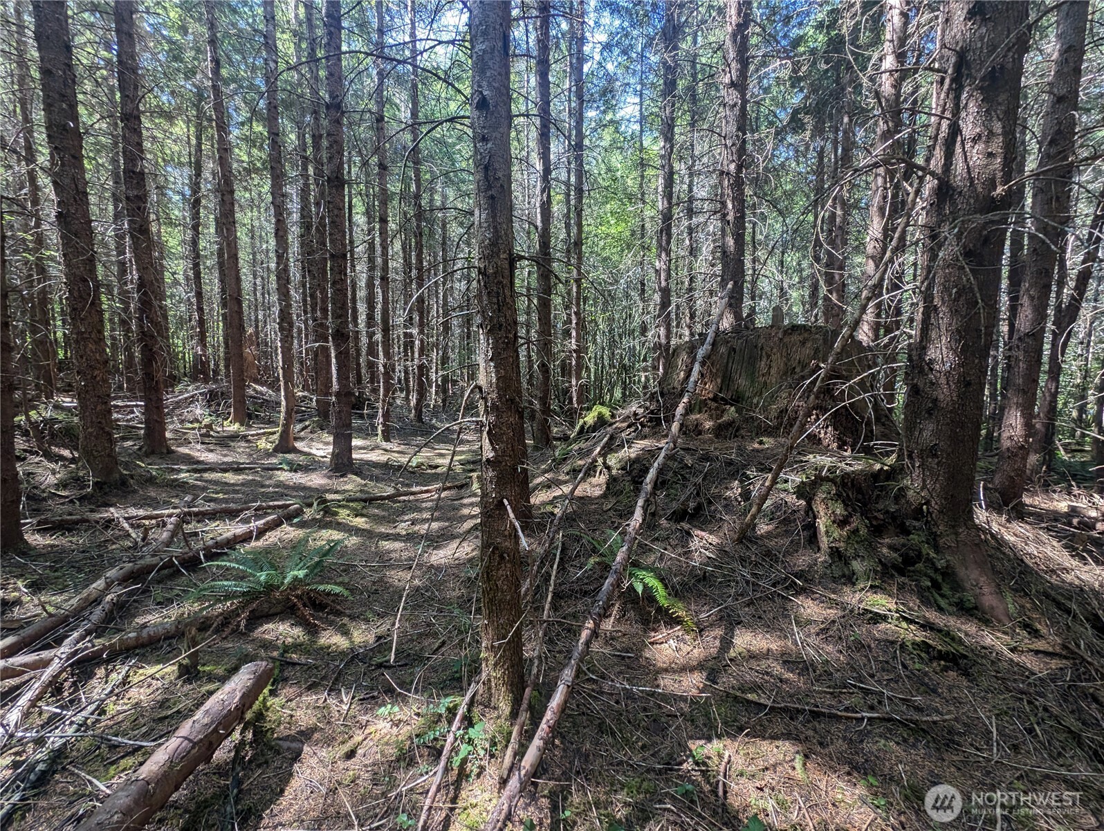 999 Hwy 101 Highway , Beaver, WA 98363