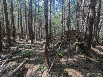 999 Hwy 101 Highway , Beaver, WA 98363 - Photo 27