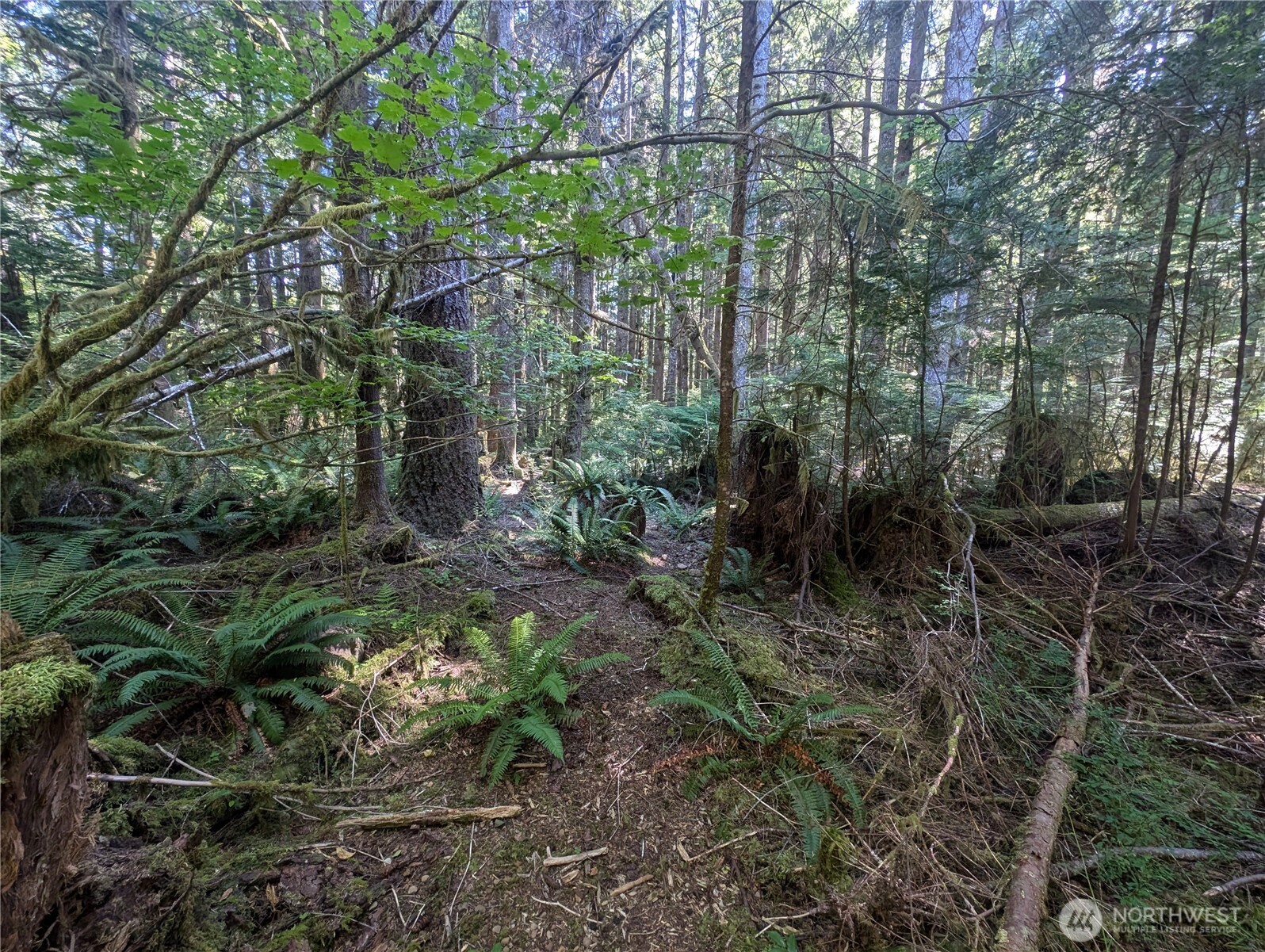 999 Hwy 101 Highway , Beaver, WA 98363