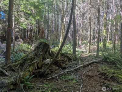 999 Hwy 101 Highway , Beaver, WA 98363 - Photo 29