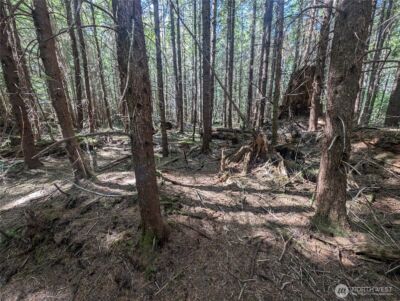 999 Hwy 101 Highway , Beaver, WA 98363 - Photo 30