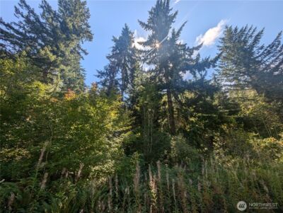 999 Hwy 101 Highway , Beaver, WA 98363 - Photo 3