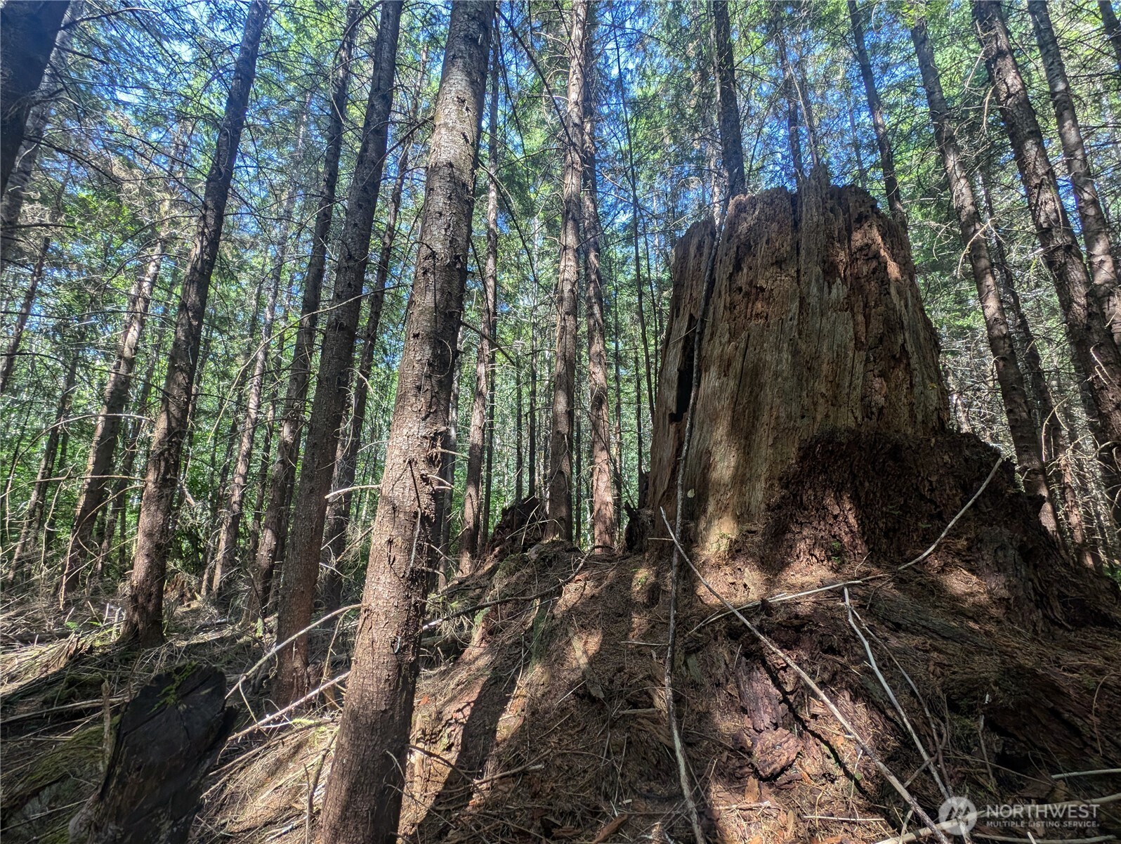 999 Hwy 101 Highway , Beaver, WA 98363