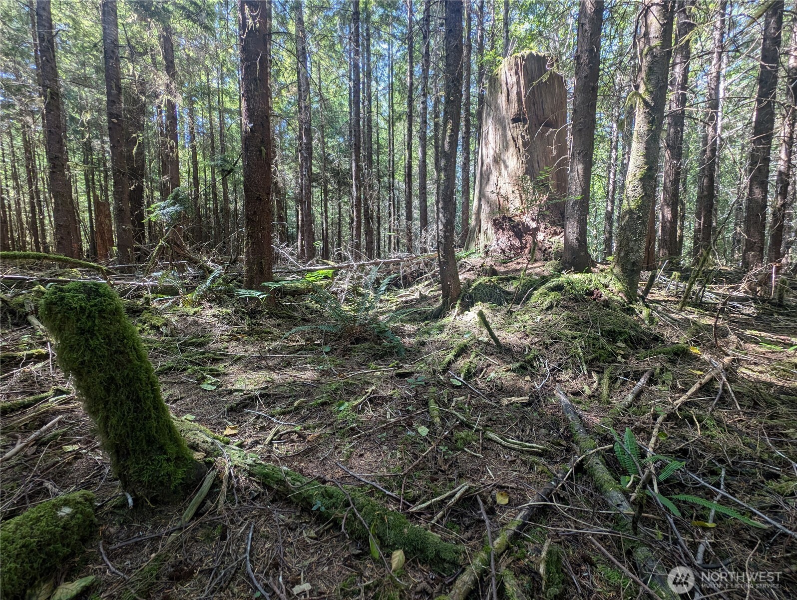 999 Hwy 101 Highway , Beaver, WA 98363