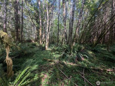 999 Hwy 101 Highway , Beaver, WA 98363 - Photo 35