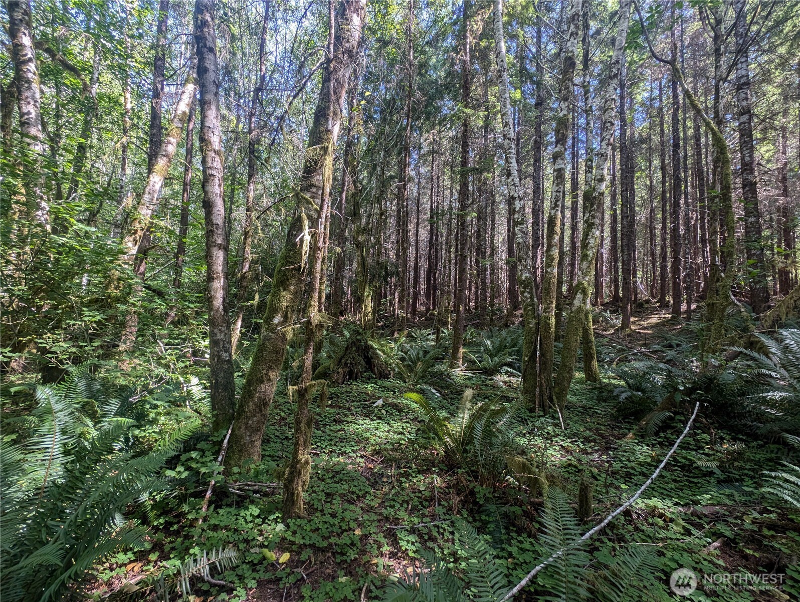 999 Hwy 101 Highway , Beaver, WA 98363