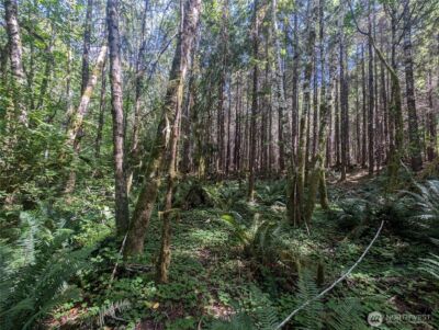 999 Hwy 101 Highway , Beaver, WA 98363 - Photo 36