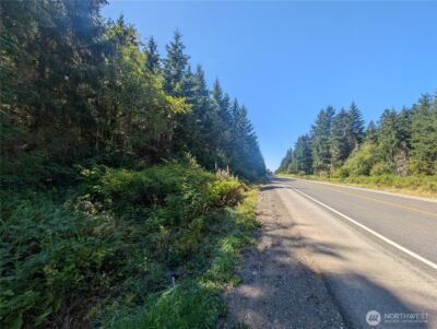 999 Hwy 101 Highway , Beaver, WA 98363 - Photo 4
