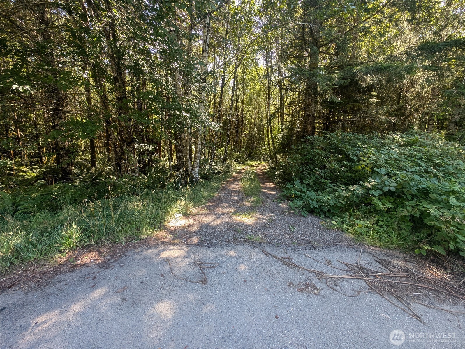 999 Hwy 101 Highway , Beaver, WA 98363