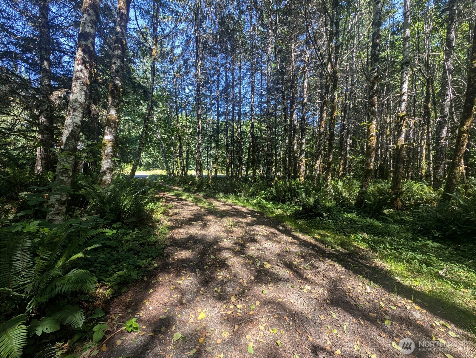 999 Hwy 101 Highway , Beaver, WA 98363