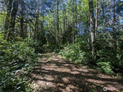 999 Hwy 101 Highway , Beaver, WA 98363 - Photo 9