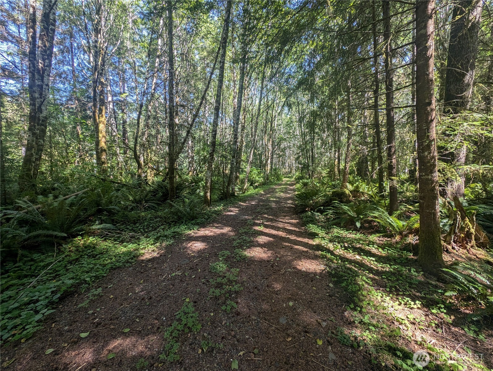 999 Hwy 101 Highway , Beaver, WA 98363