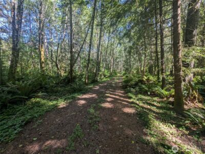 999 Hwy 101 Highway , Beaver, WA 98363 - Photo 10
