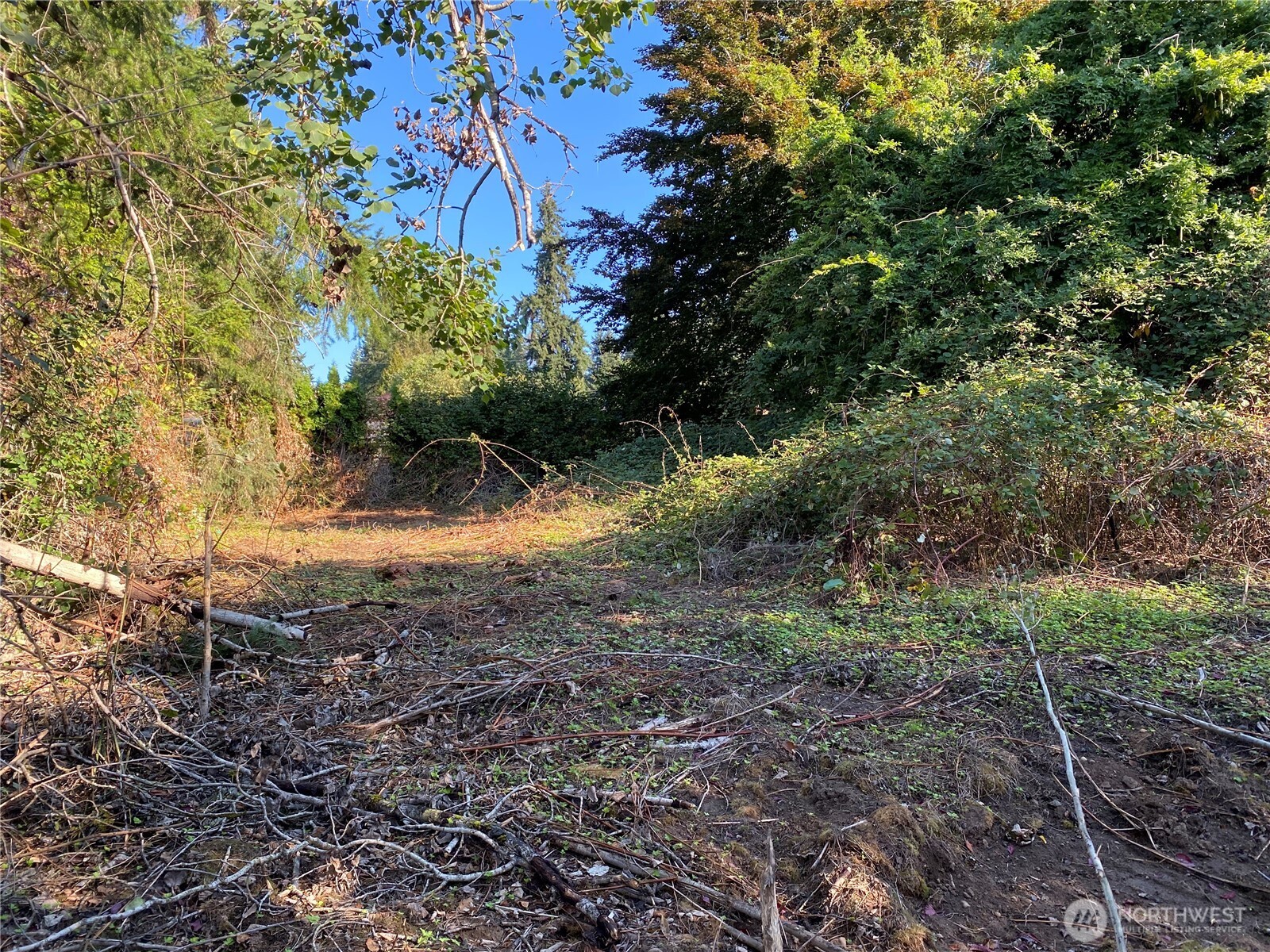 20343 75th Avenue NE, Kenmore, WA 98028