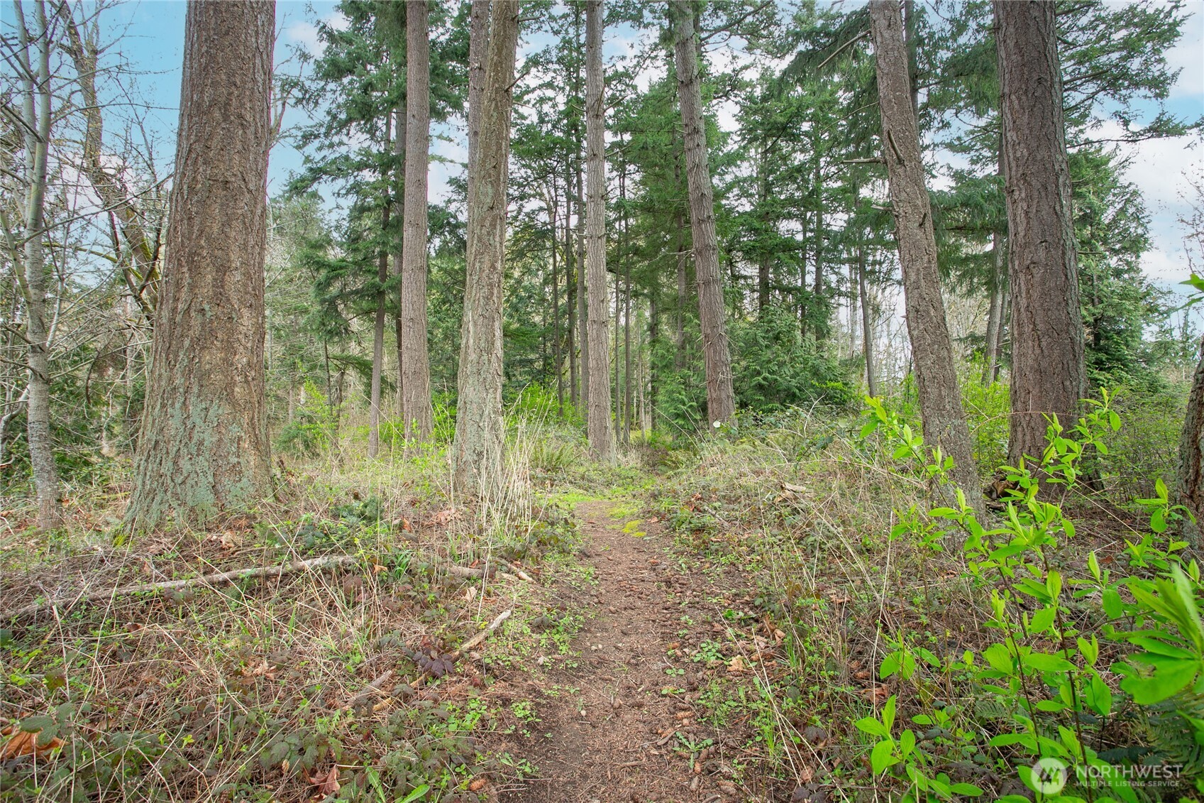 4268 Stonecrest Court , Bellingham, WA 98226