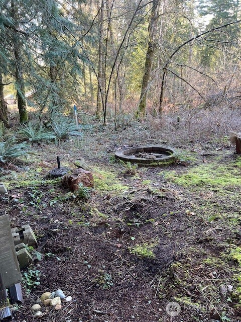 450 N Duckabush Drive E, Hoodsport, WA 98548