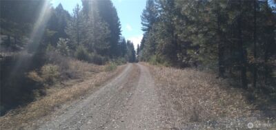 51 Trap Line Loop Road , Oroville, WA 98844 - Photo 11