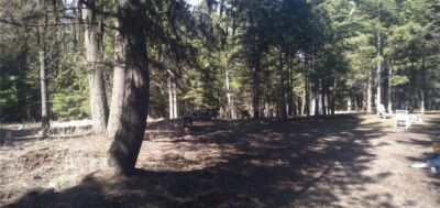 51 Trap Line Loop Road , Oroville, WA 98844 - Photo 5