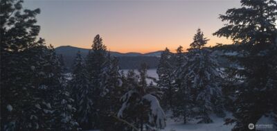 51 Trap Line Loop Road , Oroville, WA 98844 - Photo 8