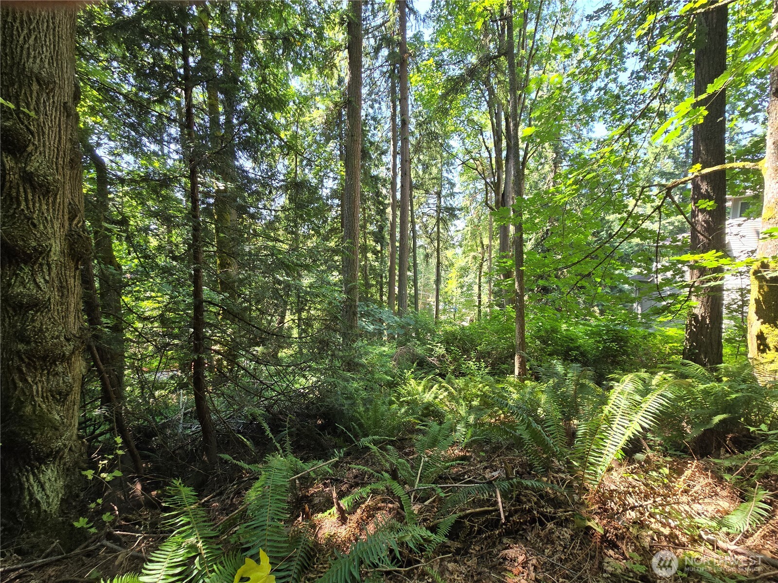 100 210th Avenue NE, Sammamish, WA 98074