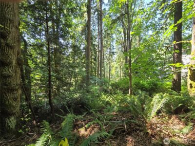 100 210th Avenue NE, Sammamish, WA 98074 - Photo 11