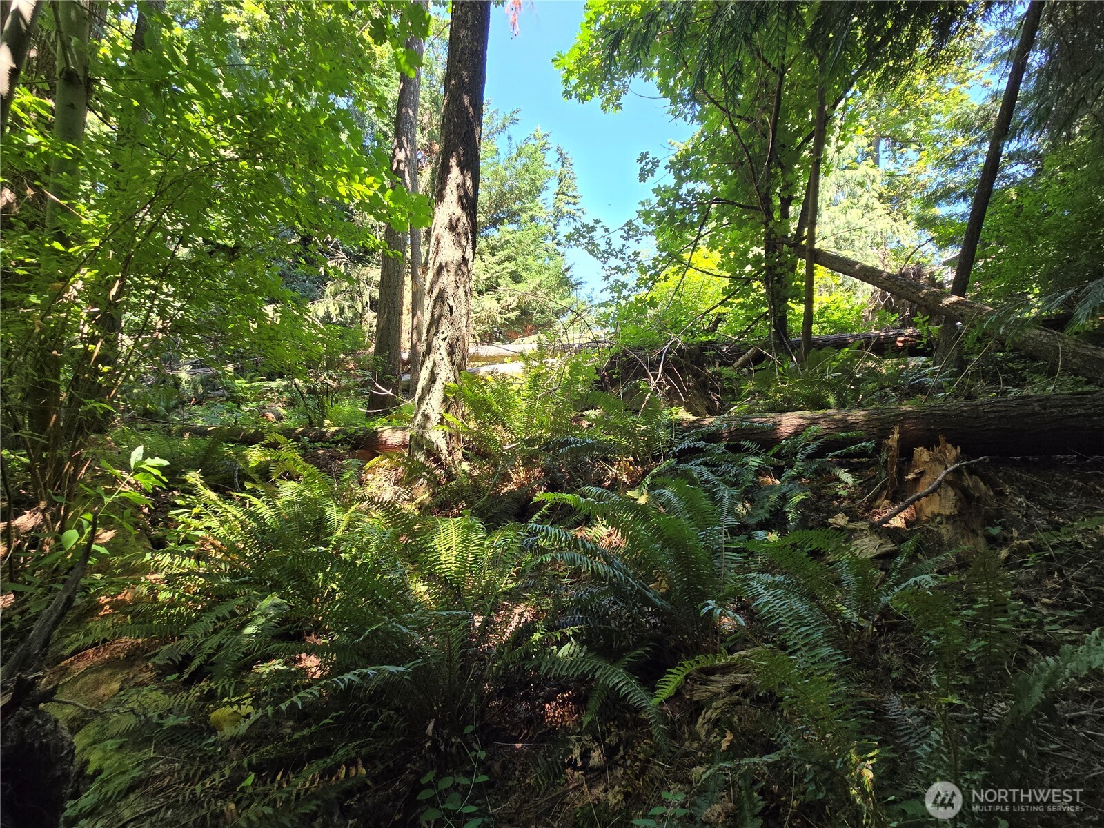 100 210th Avenue NE, Sammamish, WA 98074