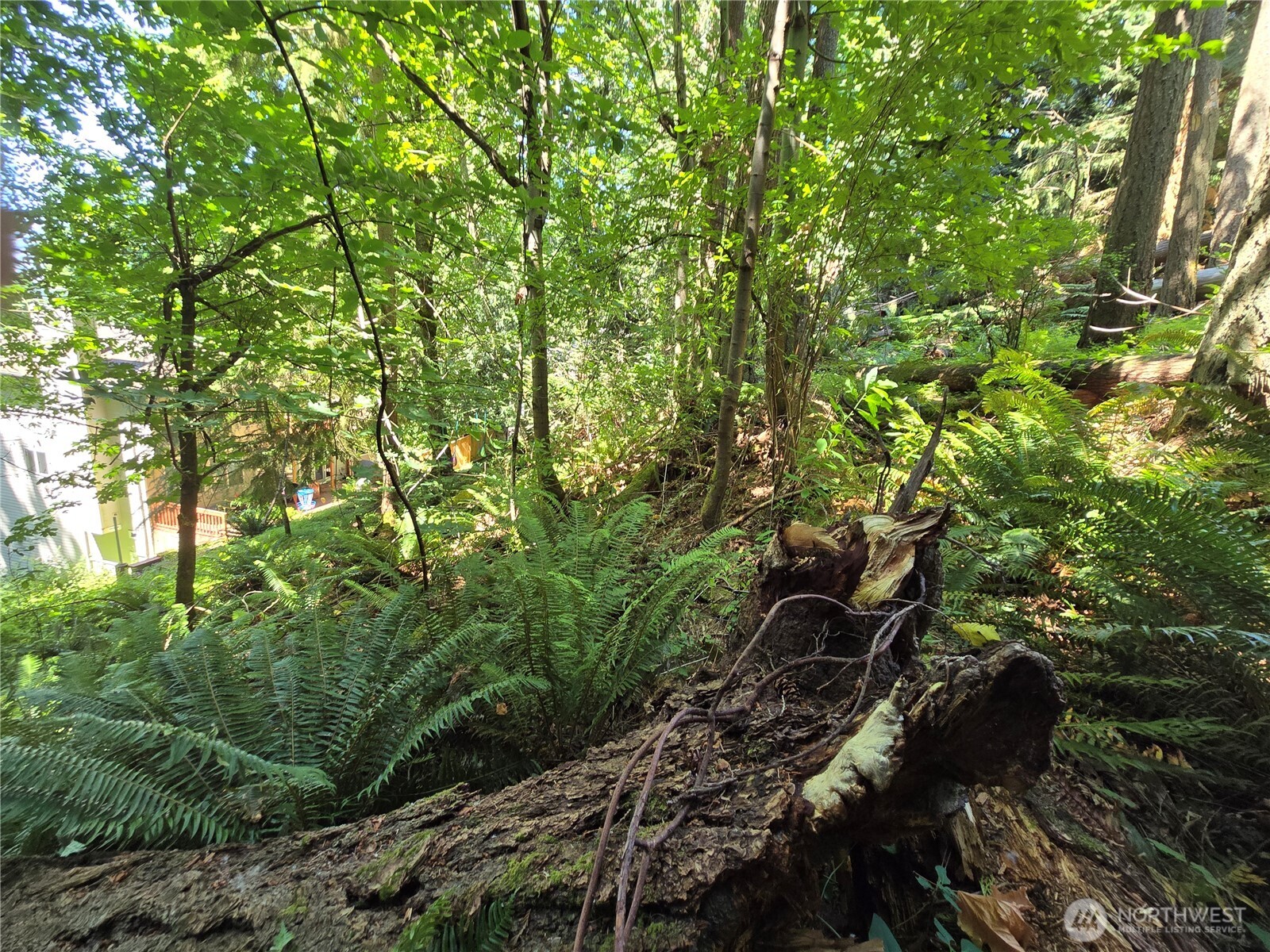 100 210th Avenue NE, Sammamish, WA 98074