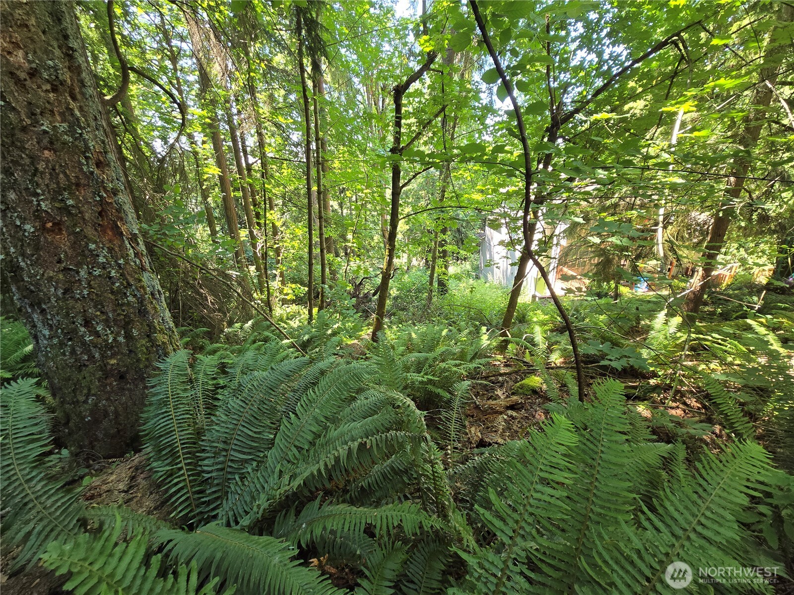 100 210th Avenue NE, Sammamish, WA 98074