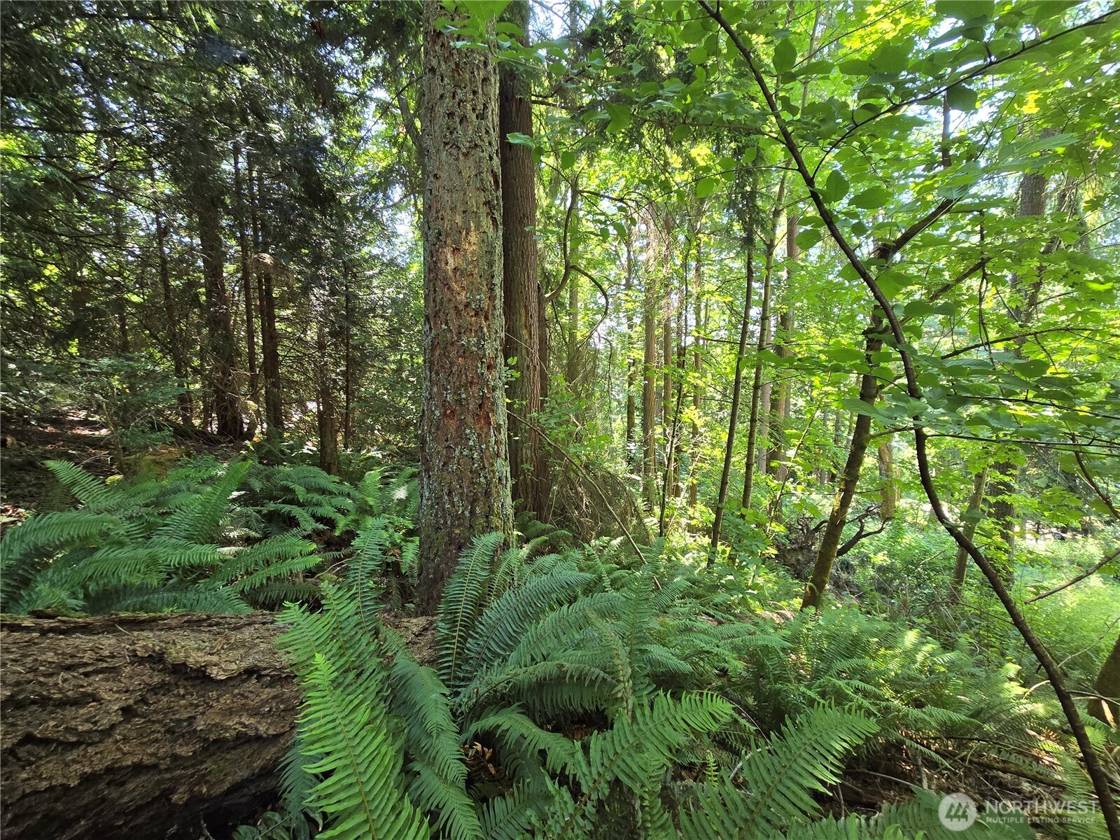 100 210th Avenue NE, Sammamish, WA 98074