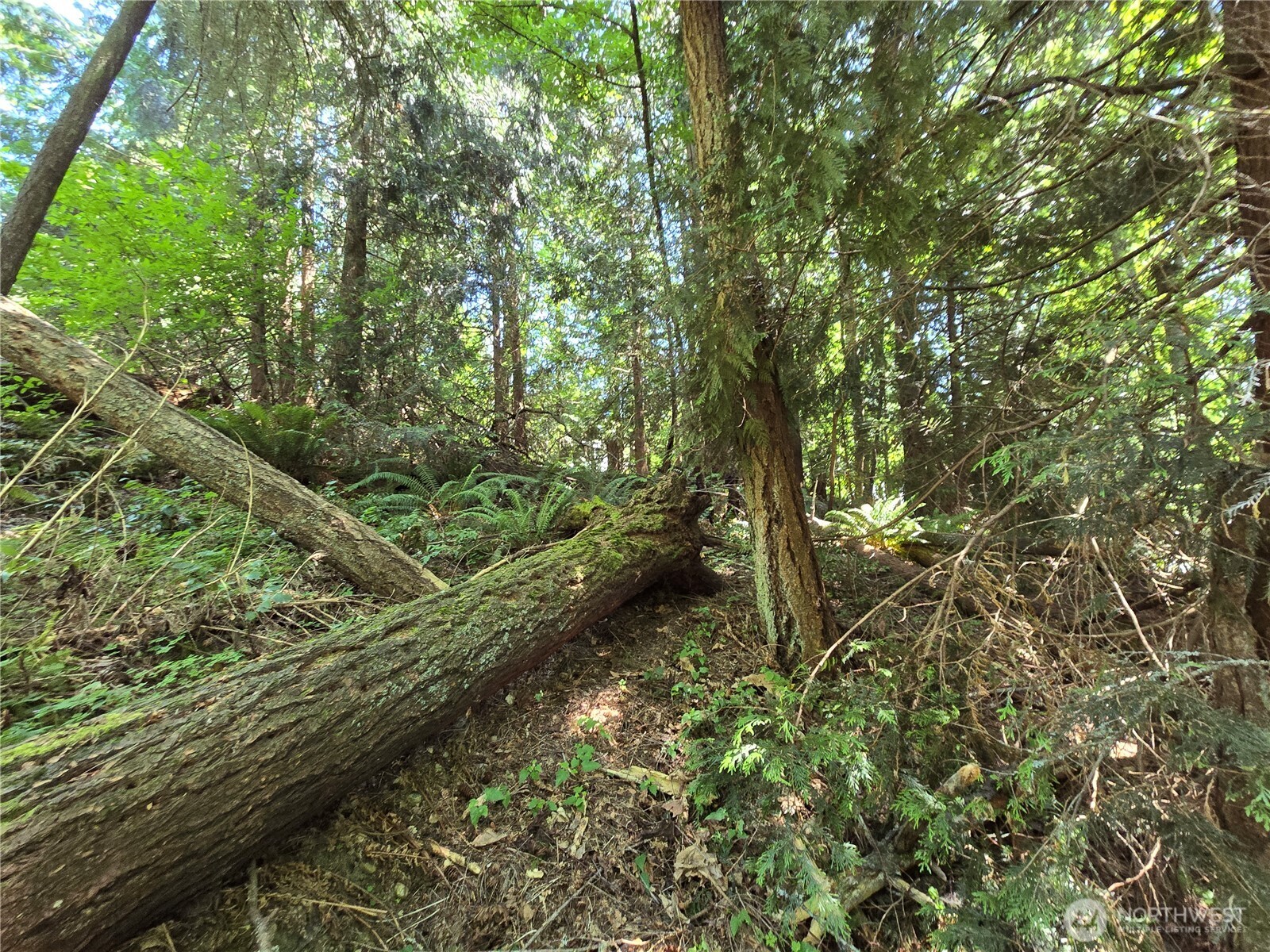 100 210th Avenue NE, Sammamish, WA 98074