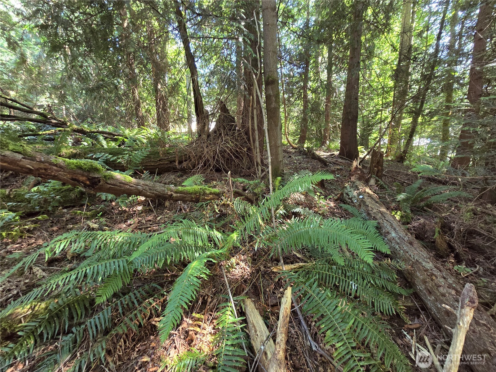 100 210th Avenue NE, Sammamish, WA 98074