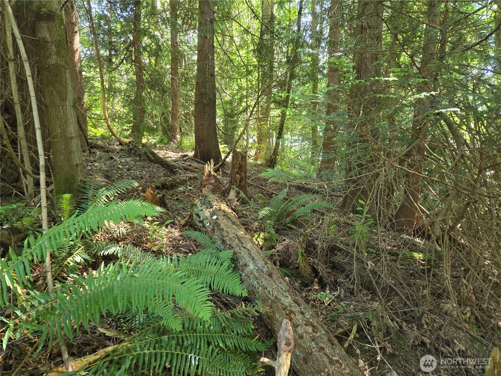 100 210th Avenue NE, Sammamish, WA 98074