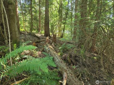 100 210th Avenue NE, Sammamish, WA 98074 - Photo 18