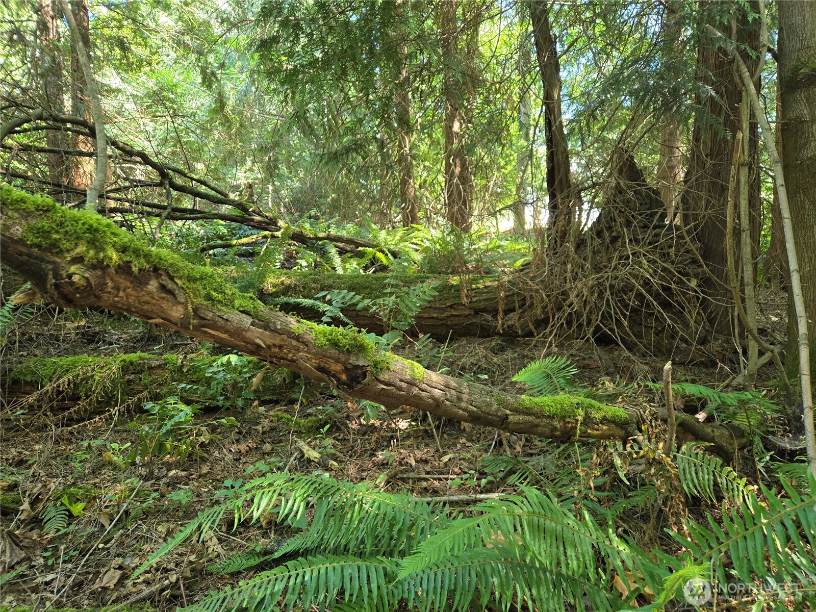 100 210th Avenue NE, Sammamish, WA 98074