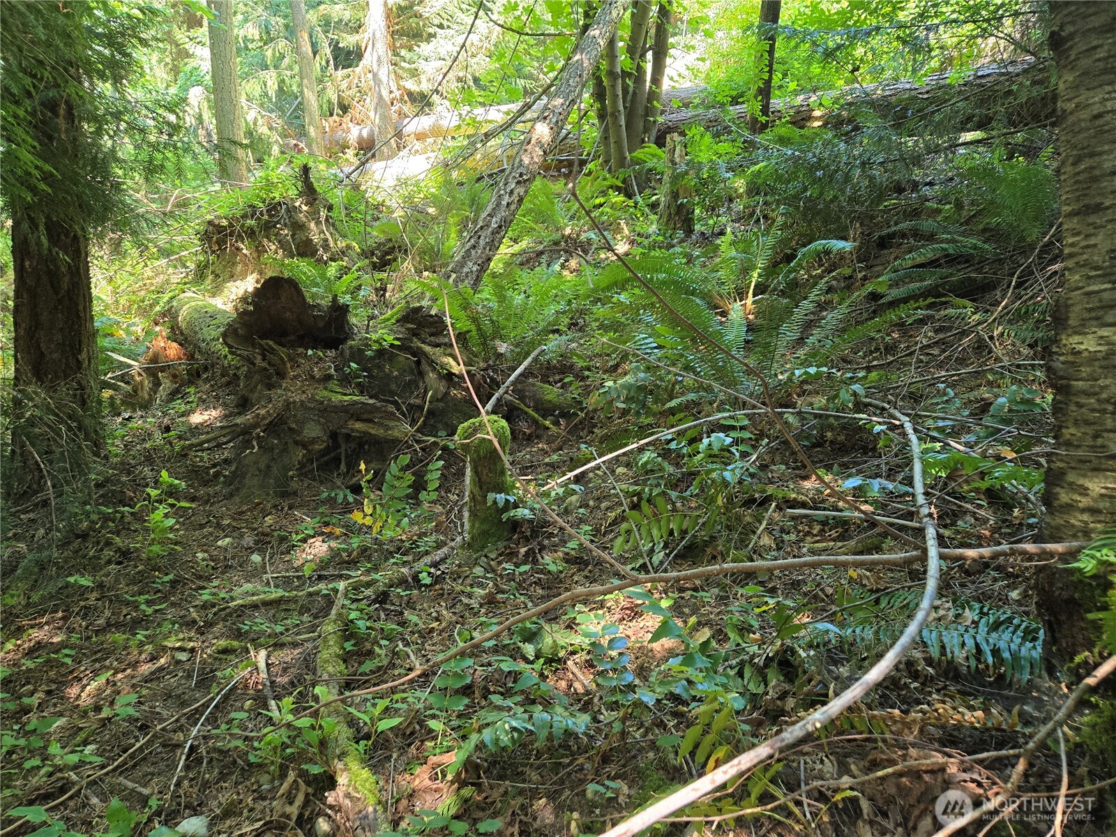 100 210th Avenue NE, Sammamish, WA 98074