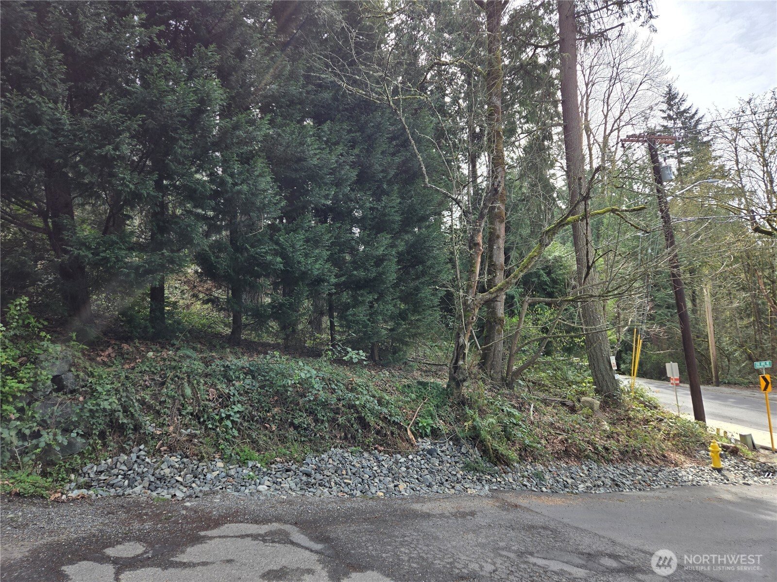 100 210th Avenue NE, Sammamish, WA 98074