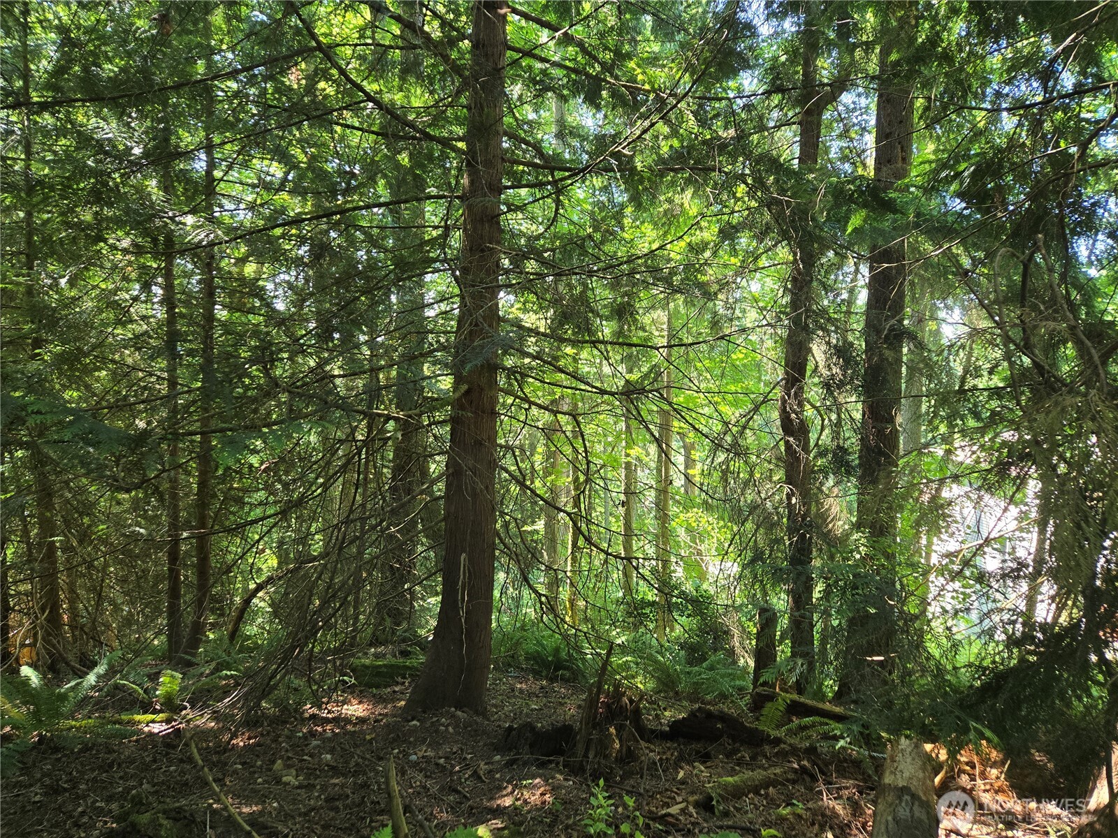 100 210th Avenue NE, Sammamish, WA 98074