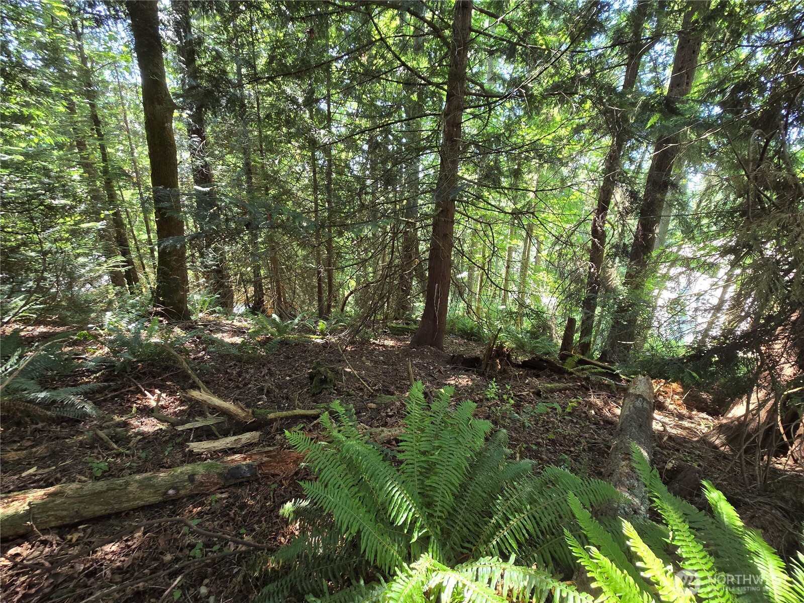 100 210th Avenue NE, Sammamish, WA 98074