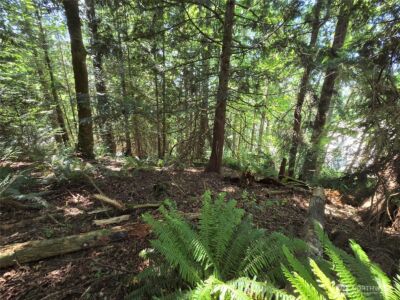 100 210th Avenue NE, Sammamish, WA 98074 - Photo 22