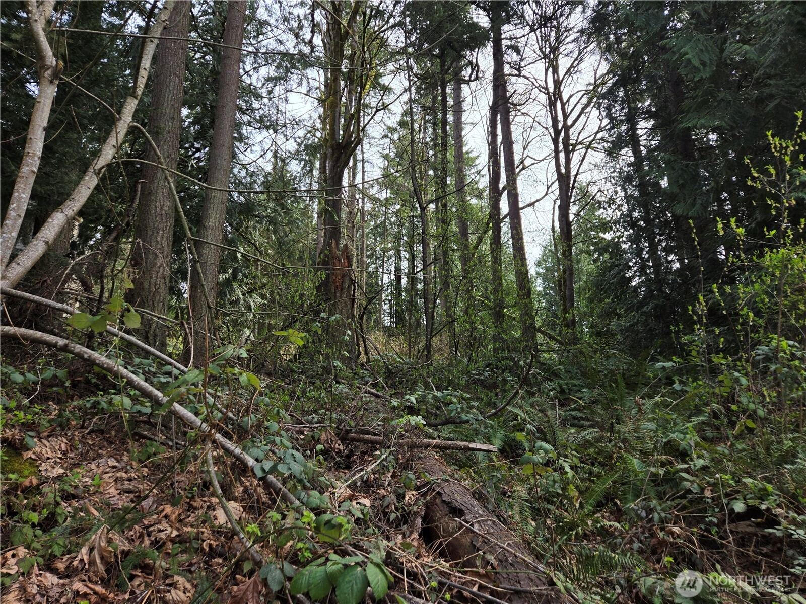 100 210th Avenue NE, Sammamish, WA 98074