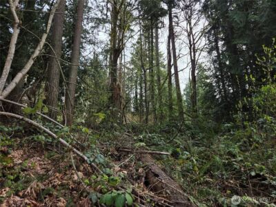 100 210th Avenue NE, Sammamish, WA 98074 - Photo 4