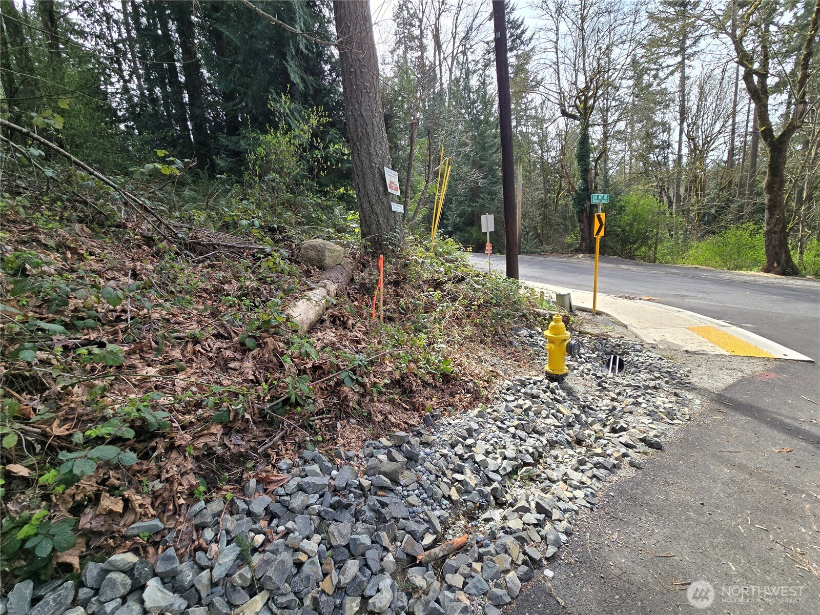 100 210th Avenue NE, Sammamish, WA 98074