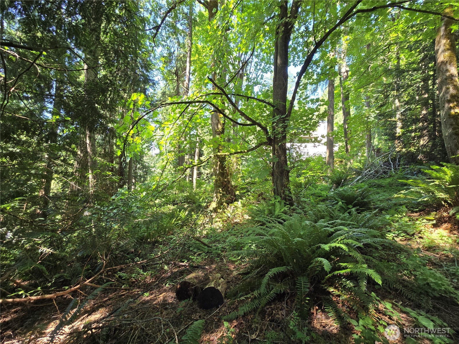 100 210th Avenue NE, Sammamish, WA 98074